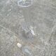 Carafe cristal Saint Louis