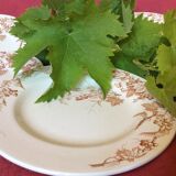 Set de 4 assiettes plates anciennes terre de fer decor de feuille de vignes
