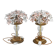 Set of 2 large table lamps with crystal glass flowers, pink and transparent, brass base, 1960