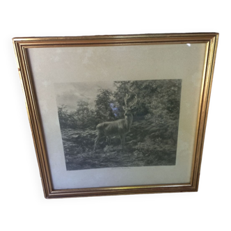 Antique print framed deer in the forest