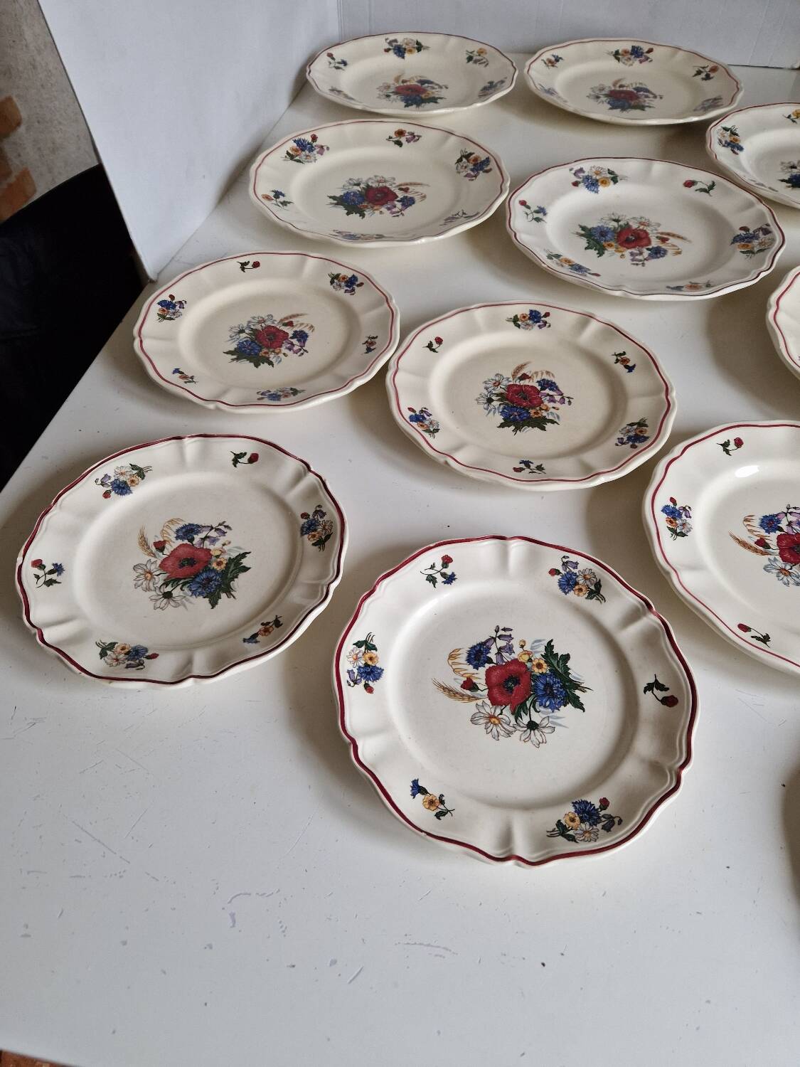Set of 12 Sarreguemines Plates, Agreste Models