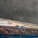 Two silver pheasants