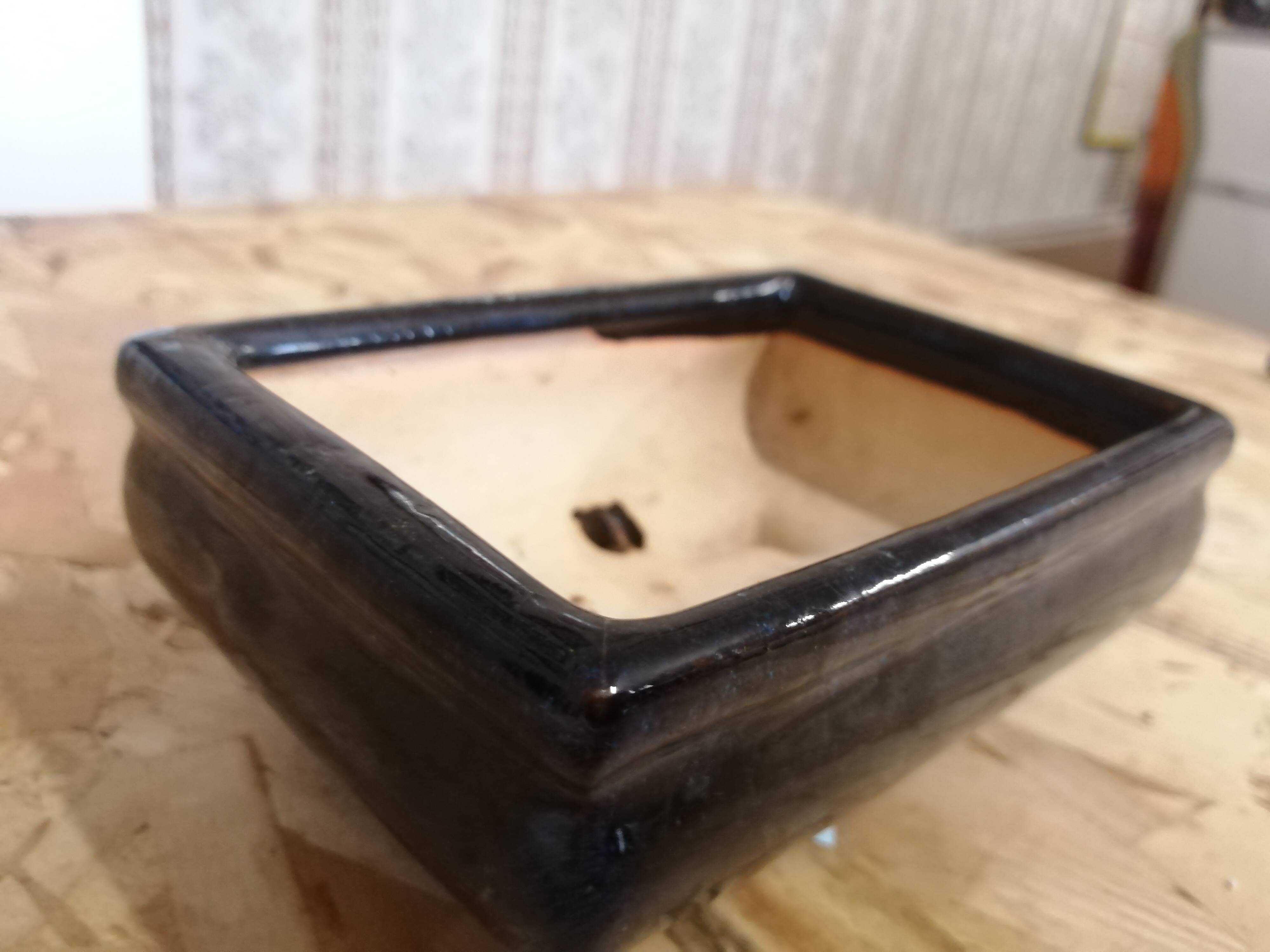 Pot à Bonzaï