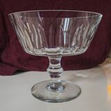 Saint Louis Jersey Cup