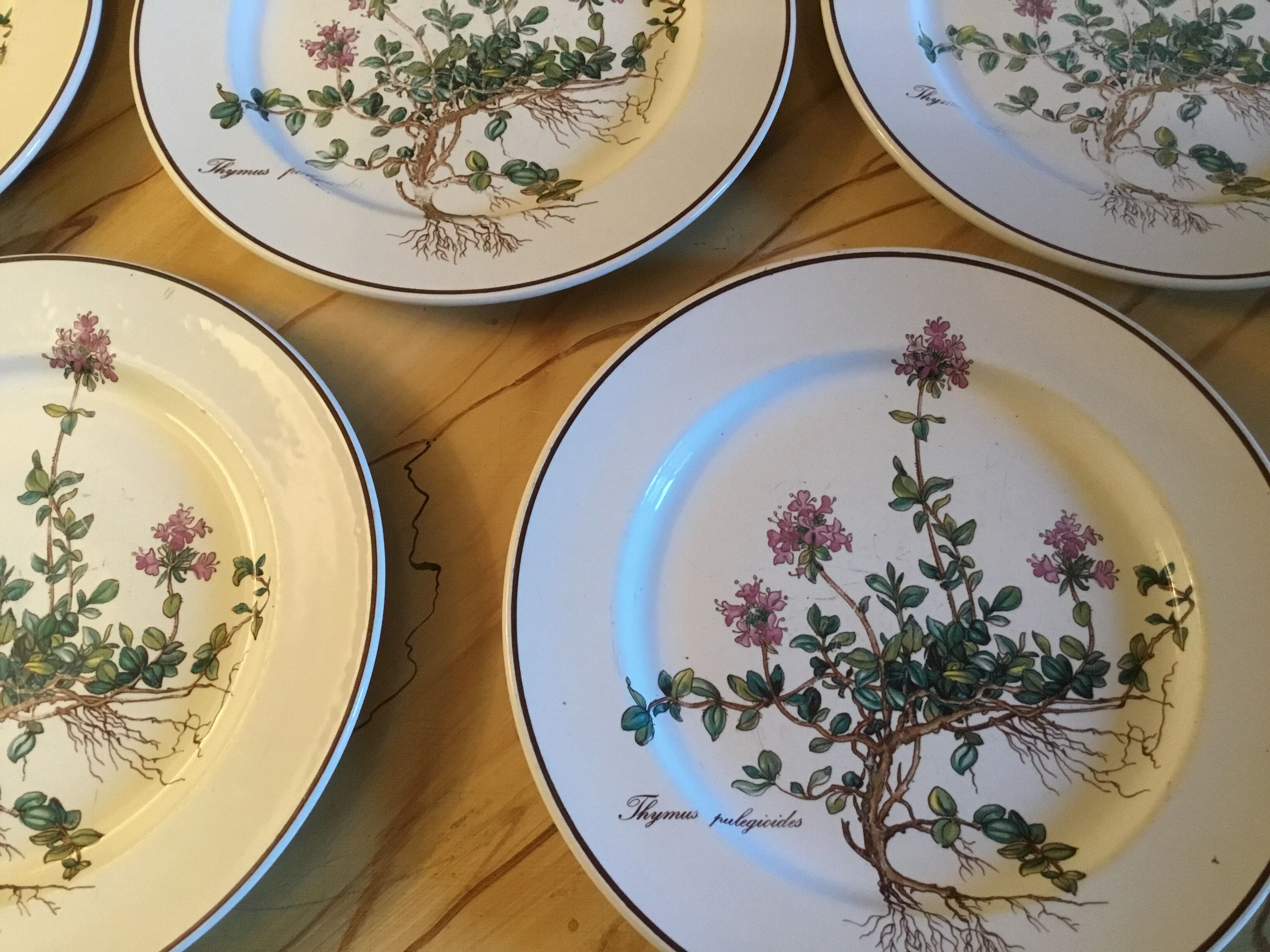 Botanica Villeroy Plates - Boch