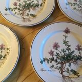 Botanica Villeroy Plates - Boch