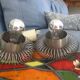 Lamp, suspension stainless springs Lazzari Vintage