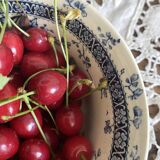Gien Mireille ironstone bowl