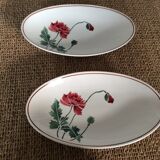 Pair of raviers