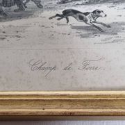 Original framed engraving of the nineteenth after Hippolyte Lalaisse, Cluny Stallion Fair