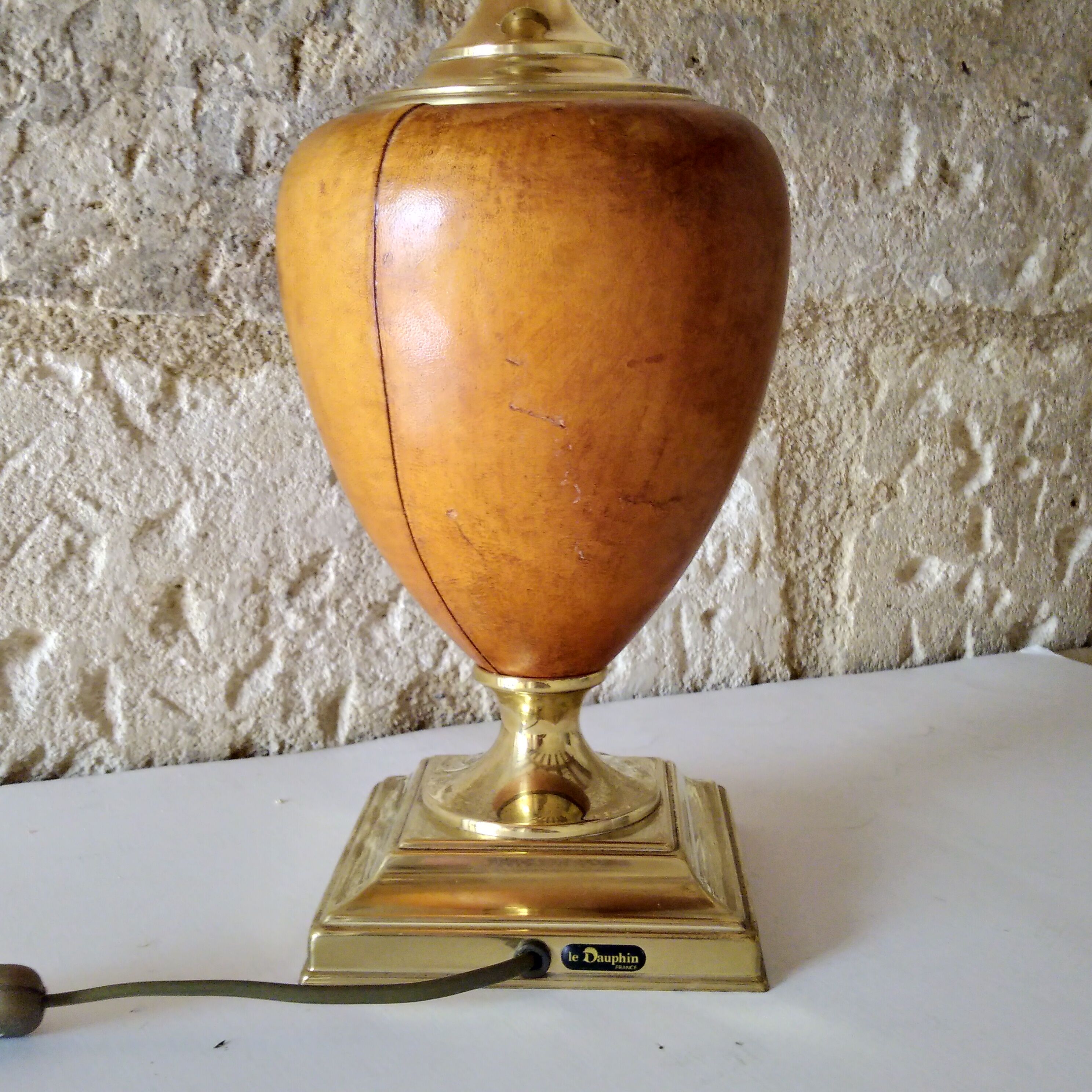 Homemade leather lamp the dolphin