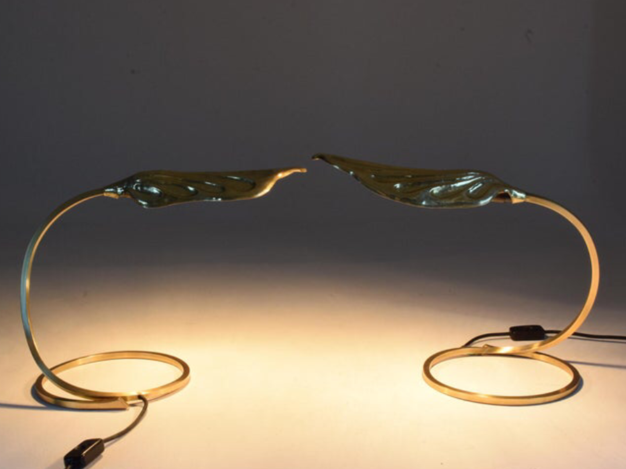 Pair of lamps by Tommaso Barbi 1970s