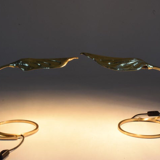 Pair of lamps by Tommaso Barbi 1970s