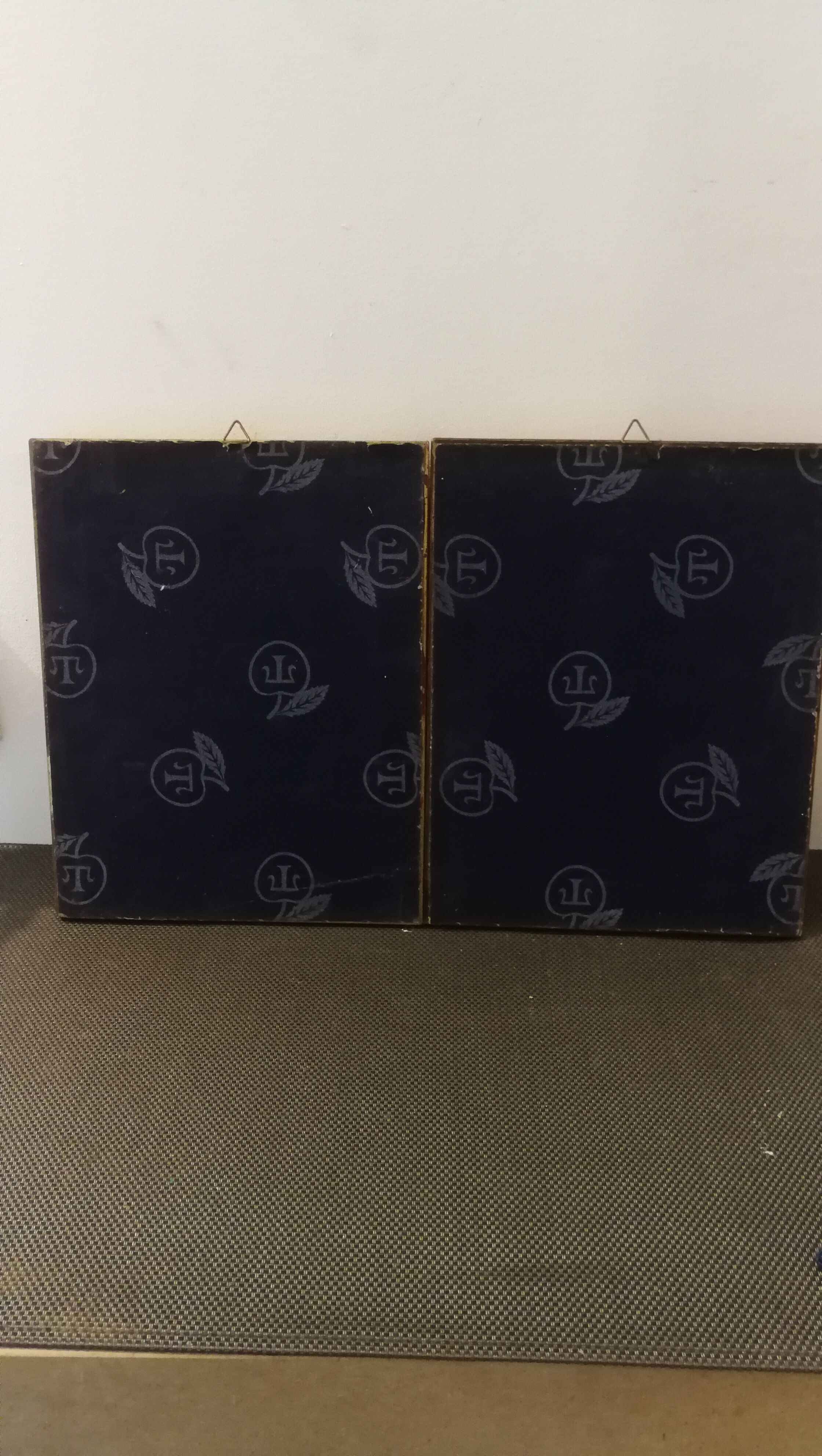 Two botanical frames oj Jacobus de Rubeis