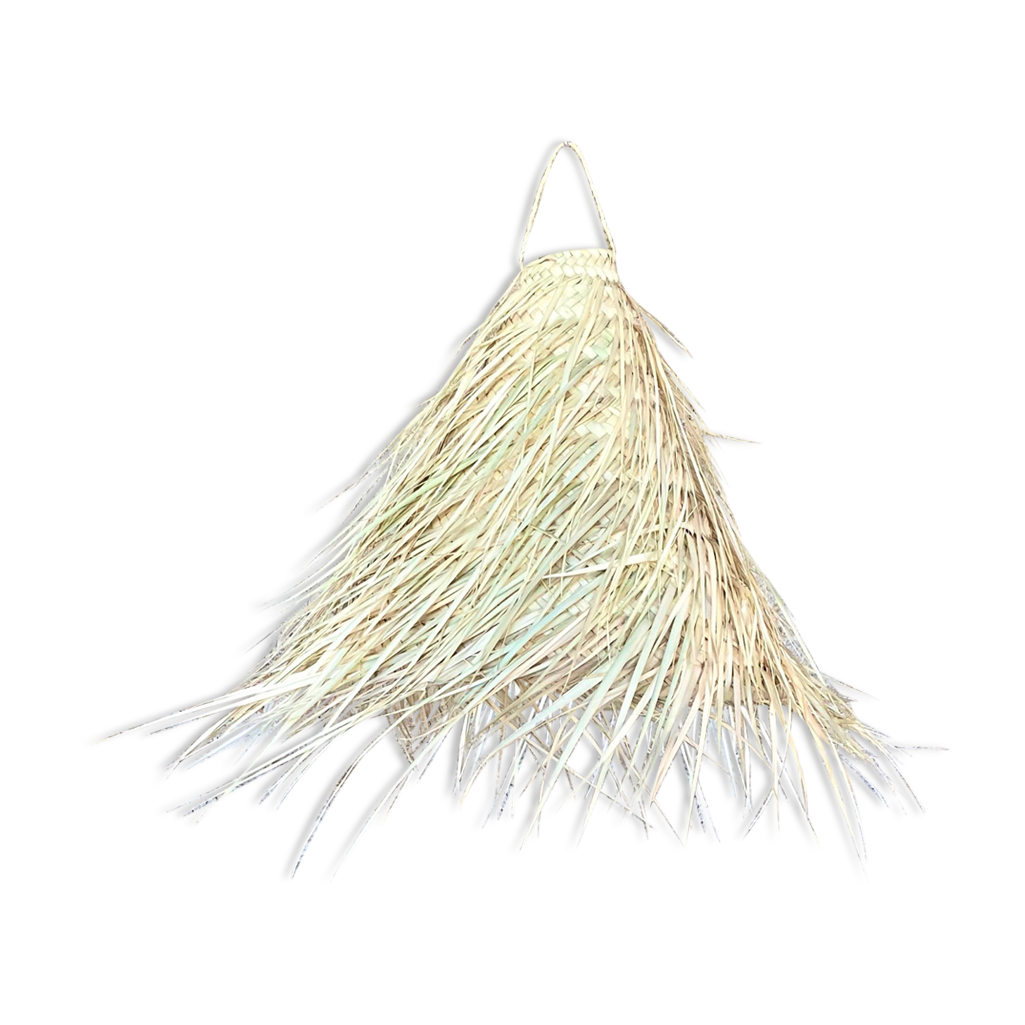 Palm leaf suspension