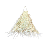 Palm leaf suspension