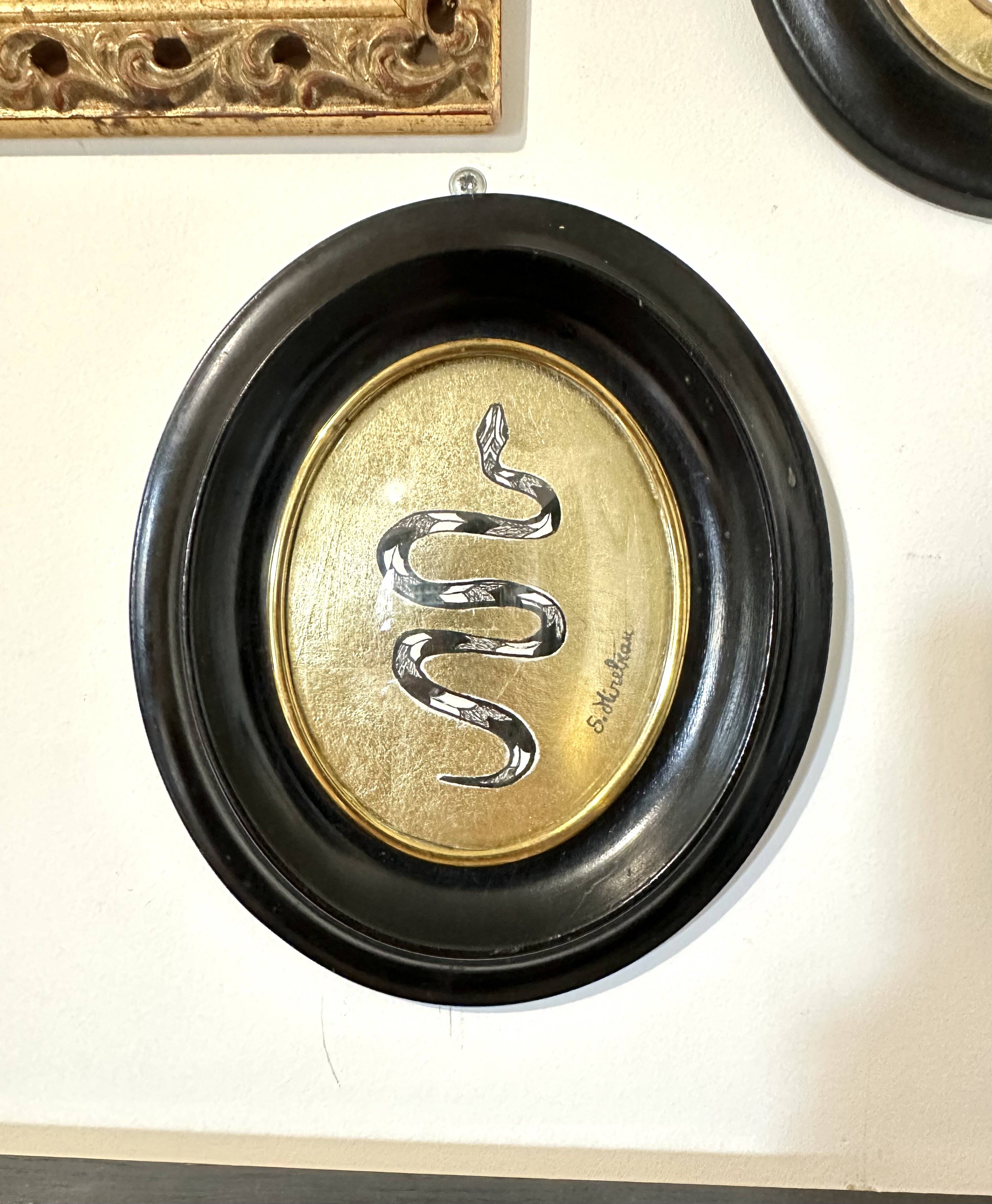 Curved glass snake frame