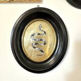Curved glass snake frame