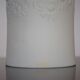 Vase en Biscuit Rosenthal