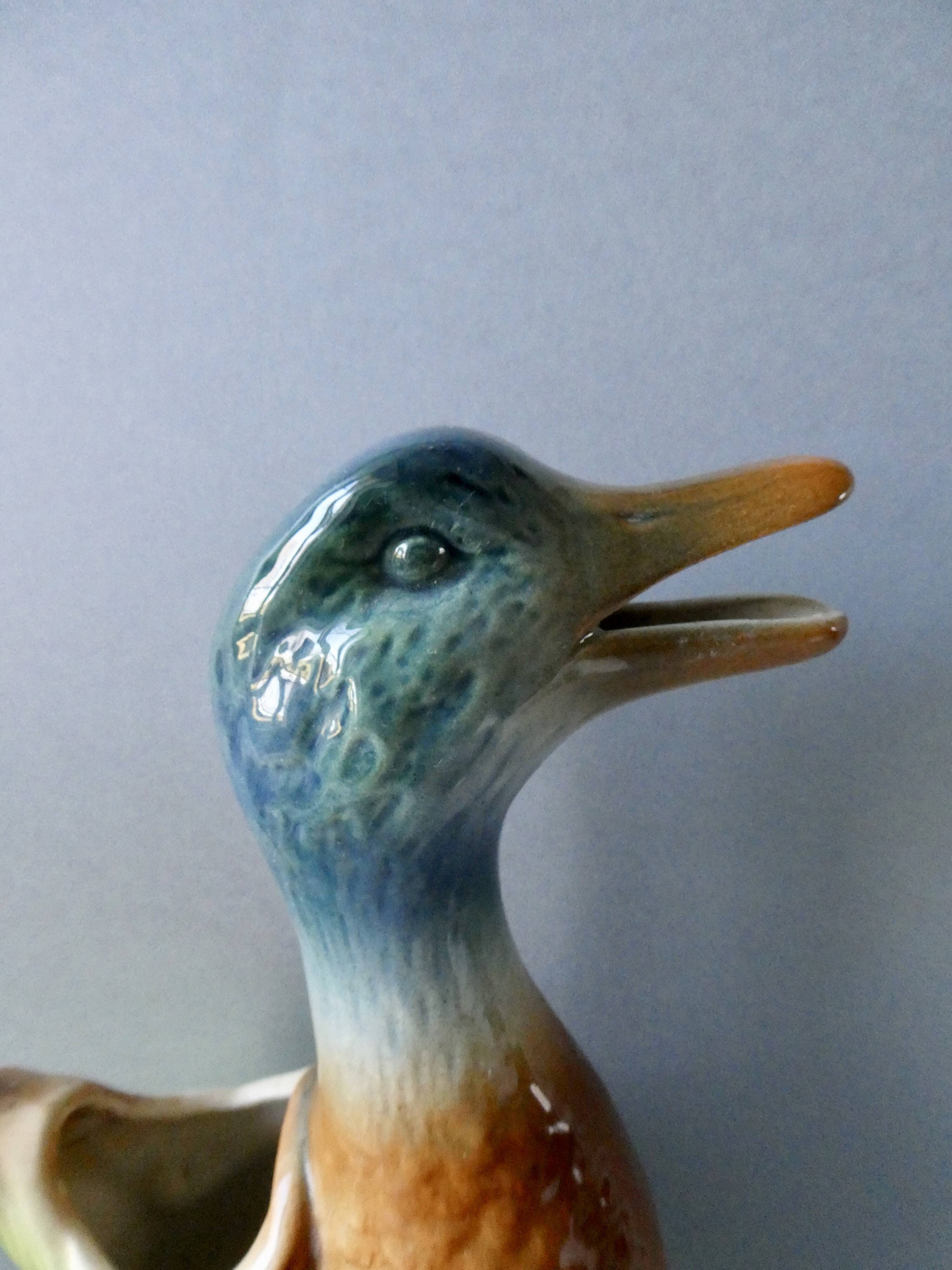 Pitcher in duck-shaped dabbling, Saint Clement France