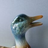 Pitcher in duck-shaped dabbling, Saint Clement France