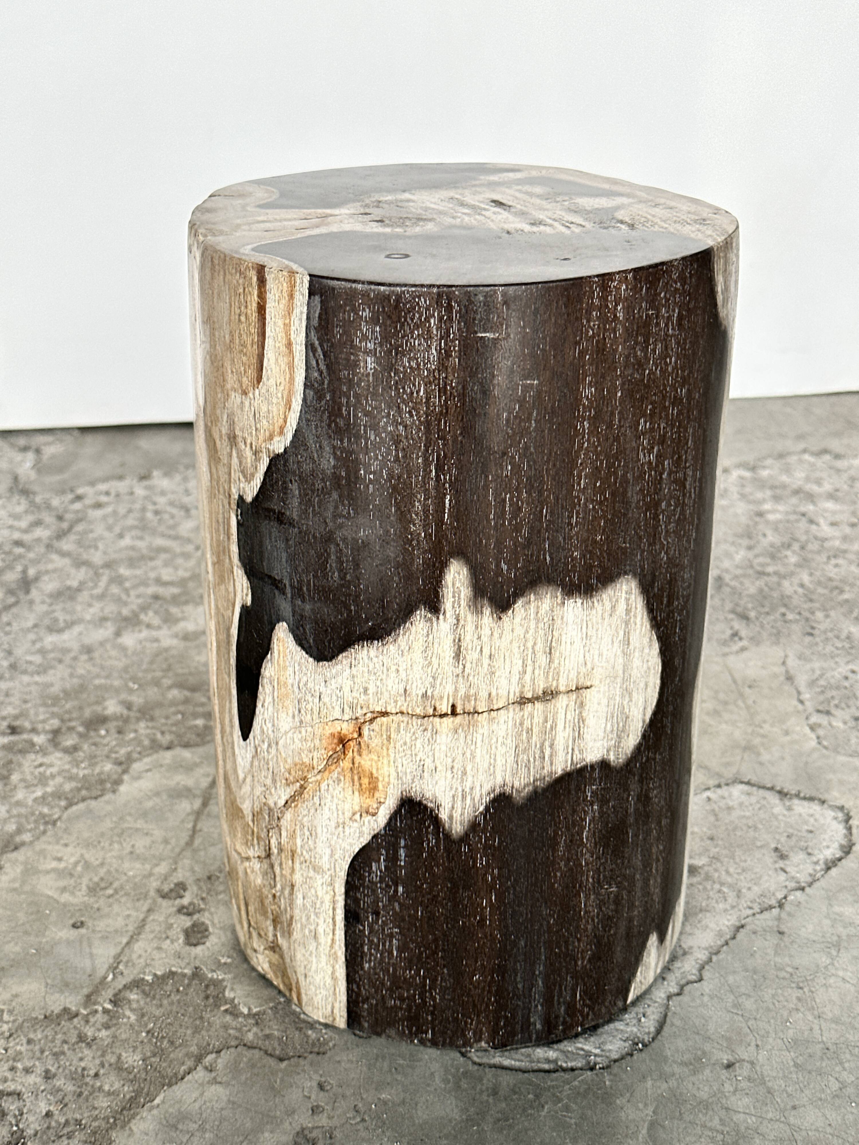 Small black, white and gray petrified wood side table H28cm D:18.5