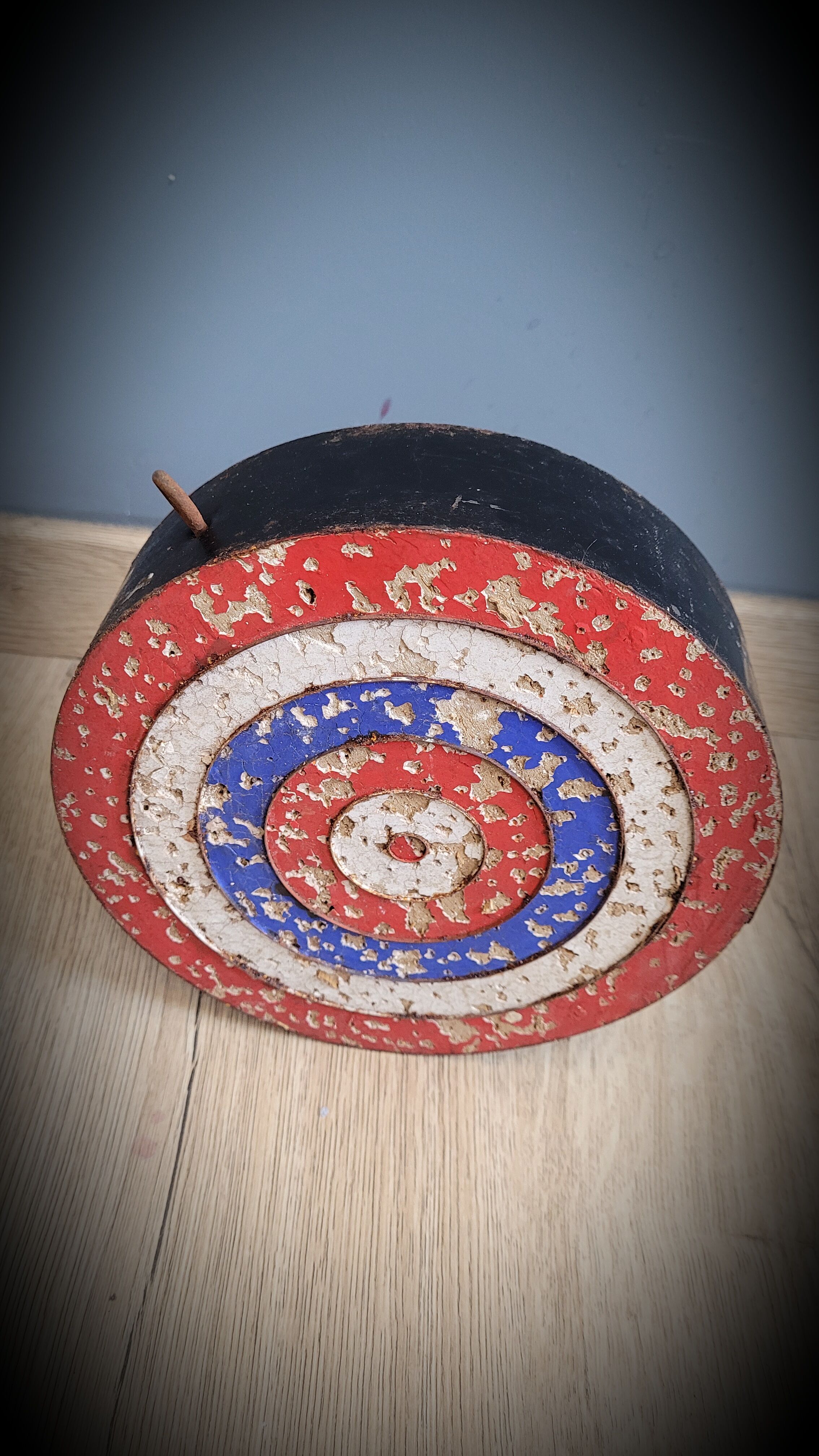 Target shooting darts