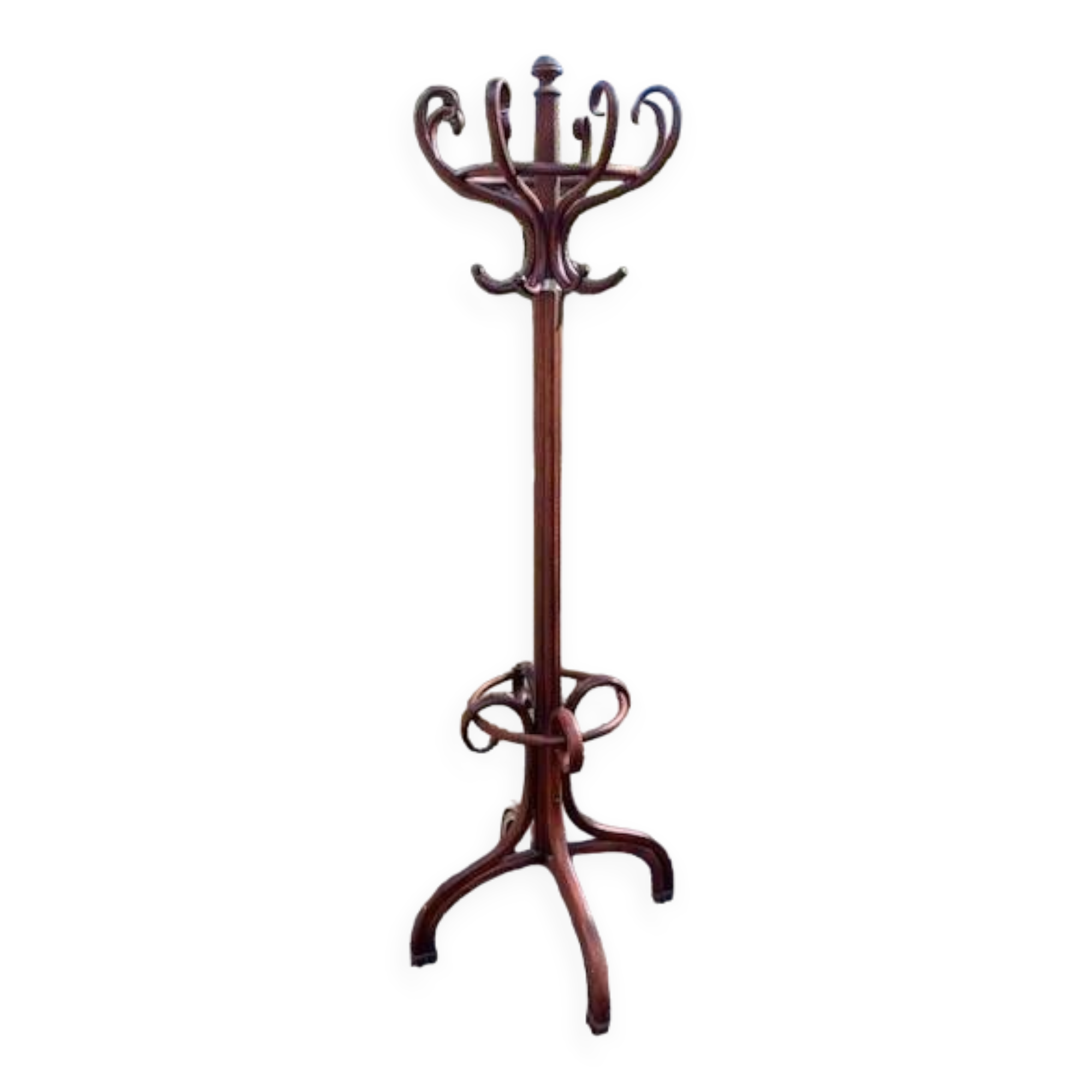 porte manteau perroquet en acajou