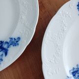 Mintons Flat Plates Set of 2