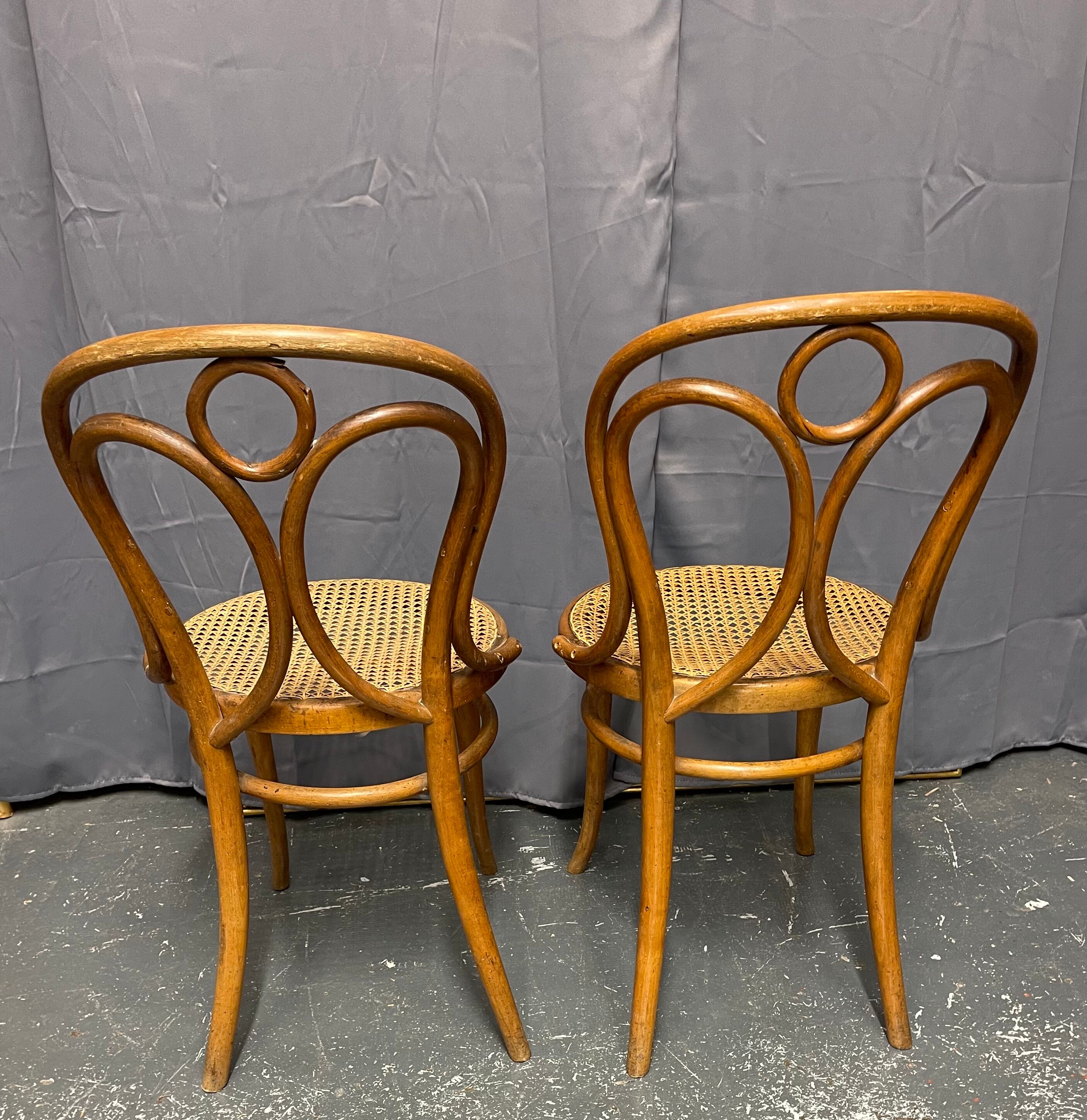 Paire de chaises Thonet n 19 estampillées thonet