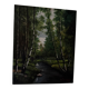 Oil on canvas woodland and stream - Realistic landscape