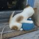 Vintage Germany Cat with Ball Children's Bedside Lamp