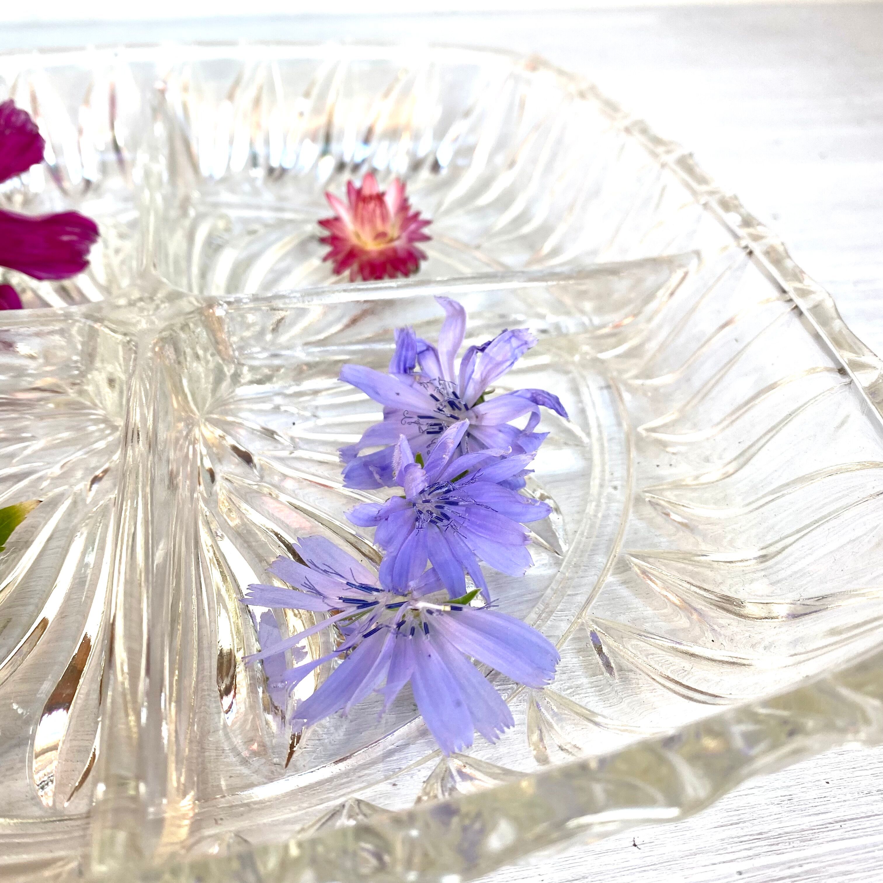 Glass dish with compartments