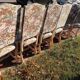 Lot de 6 chaises style Louis XIV en os de mouton