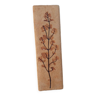 Vallauris herbarium vase Raymonde Leduc