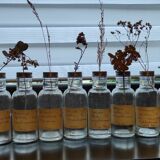 Old seed jars