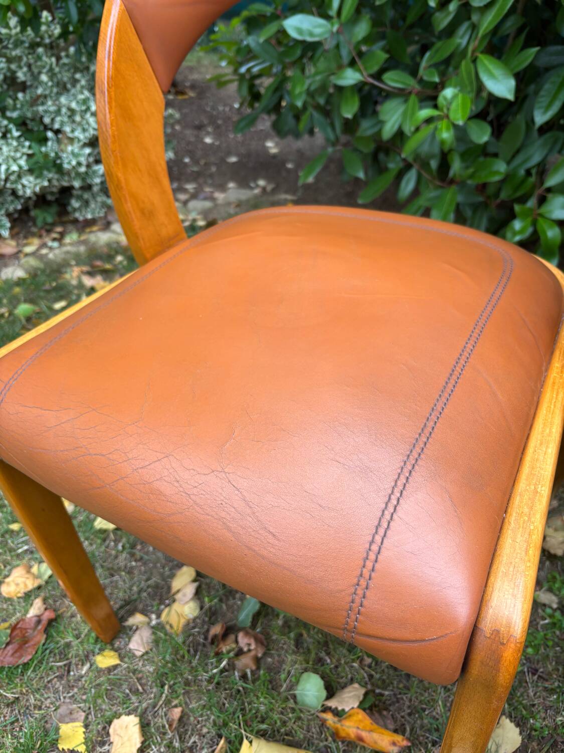 Baumann Gondola Chairs