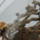 Table basse sculpturale en bronze et en verre