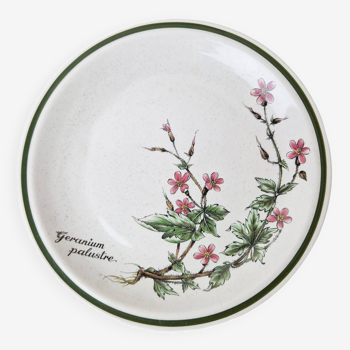 Vintage dessert plates Wionterling flowers Geranium