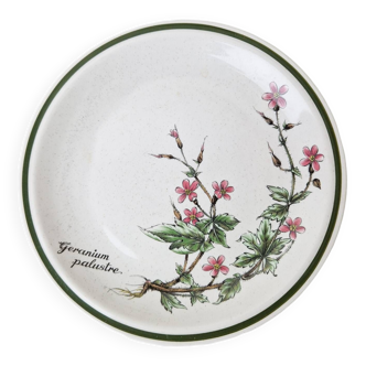 Vintage dessert plates Wionterling flowers Geranium