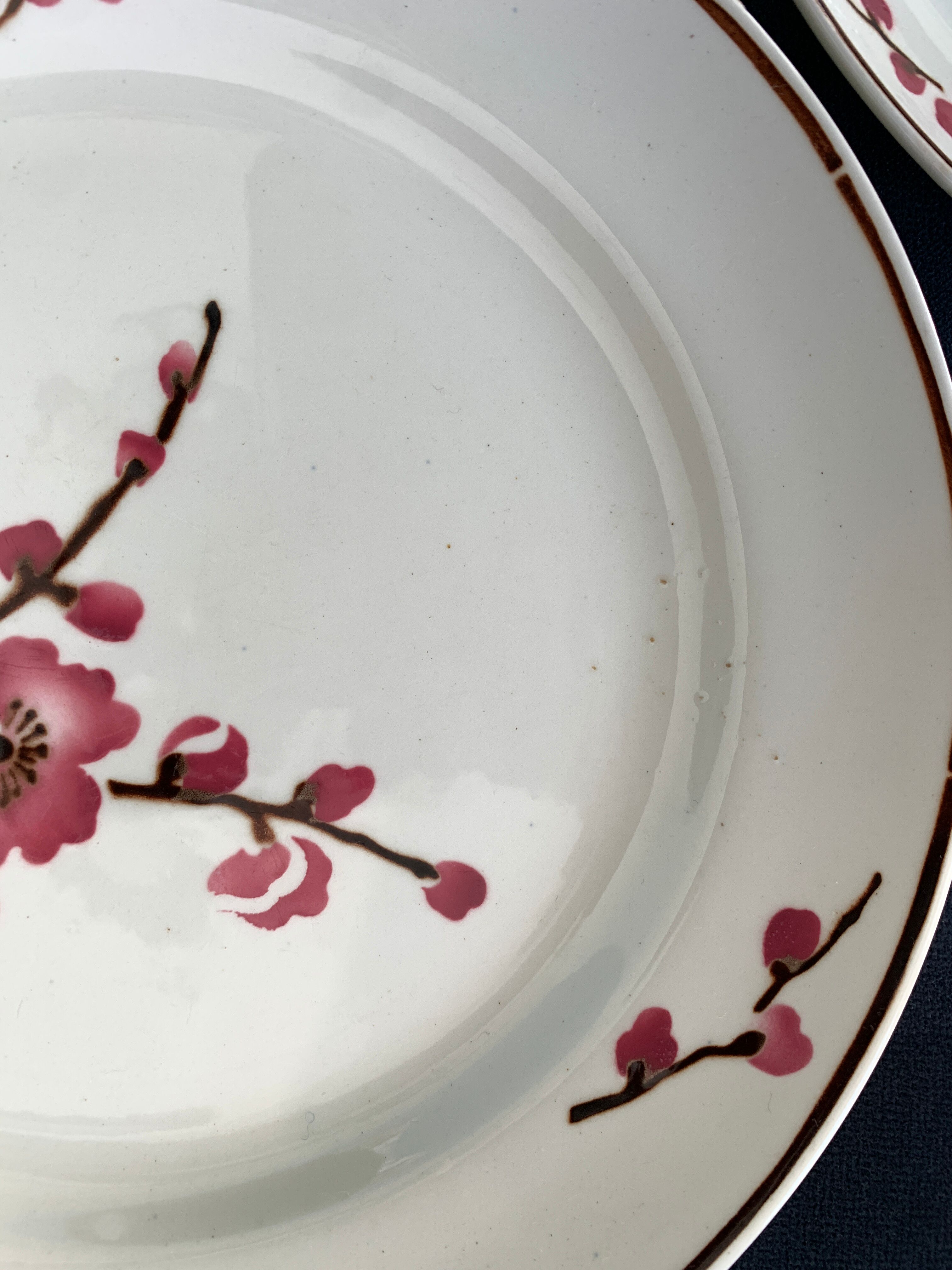 11 dessert plates Saint Amand Terre de Fer, 1930