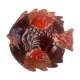 Red and brown Vallauris fish dish