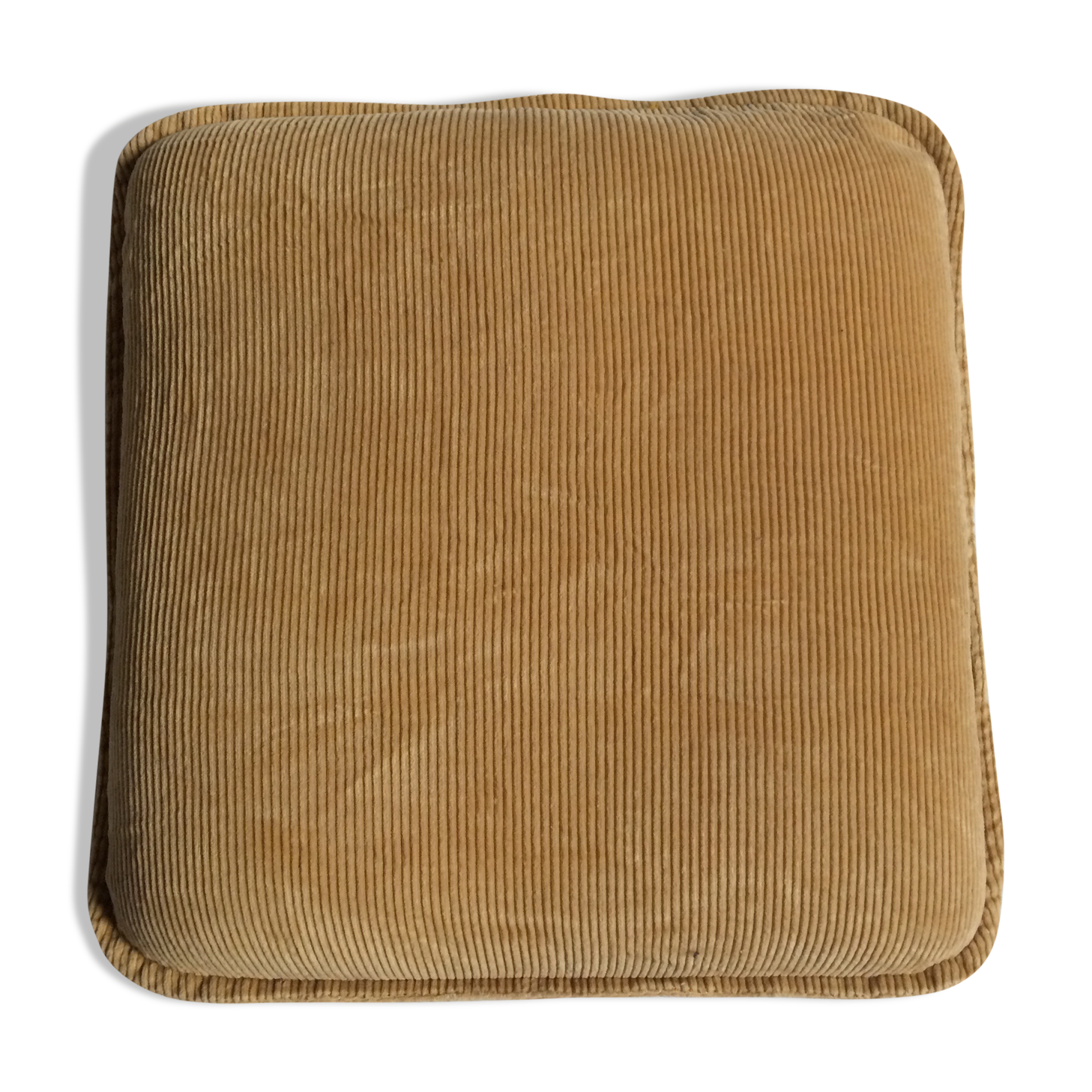 Vintage velvet cushion