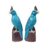 Pair of Turquoise Glazed Parrots Chinese Porcelain 30cm