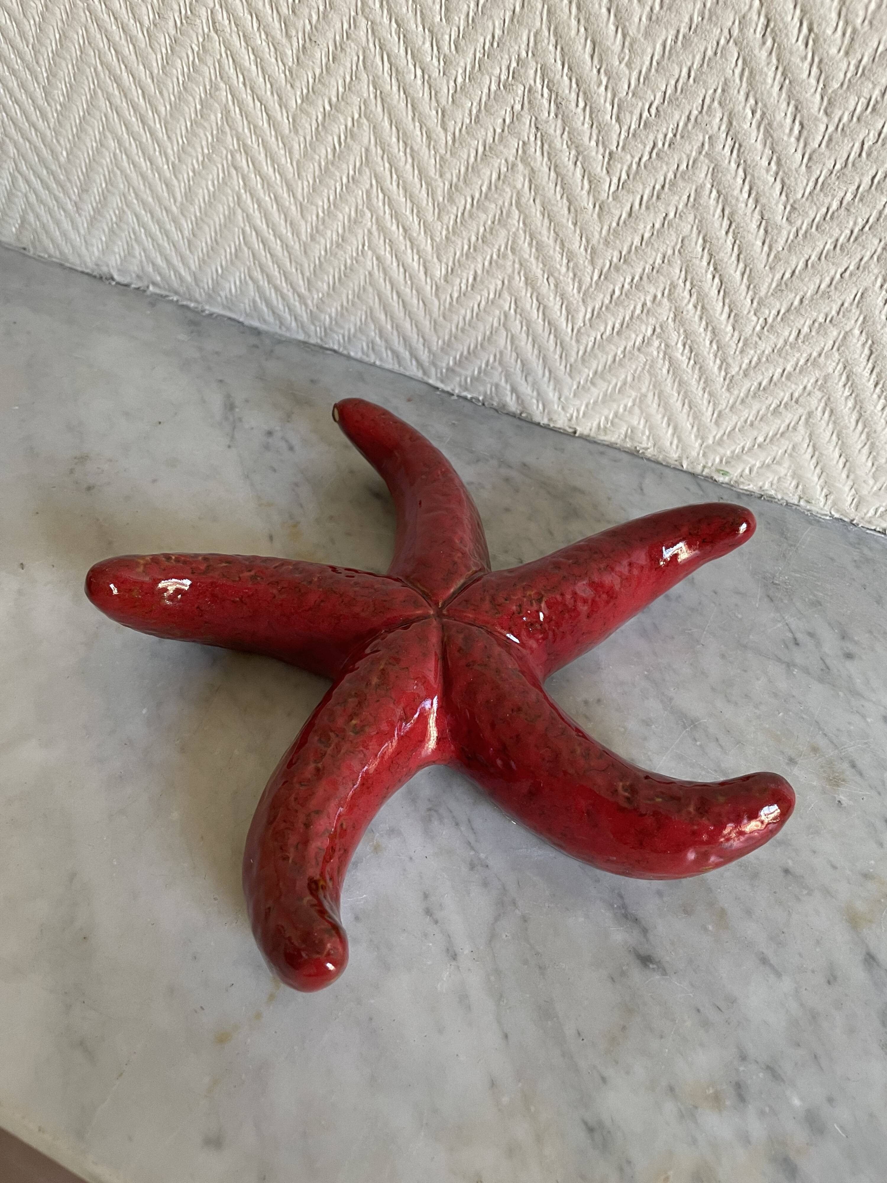 ceramic starfish