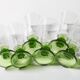 Ensemble de 6 verres vintage à pieds verts / flûtes à liqueur rares des années 50