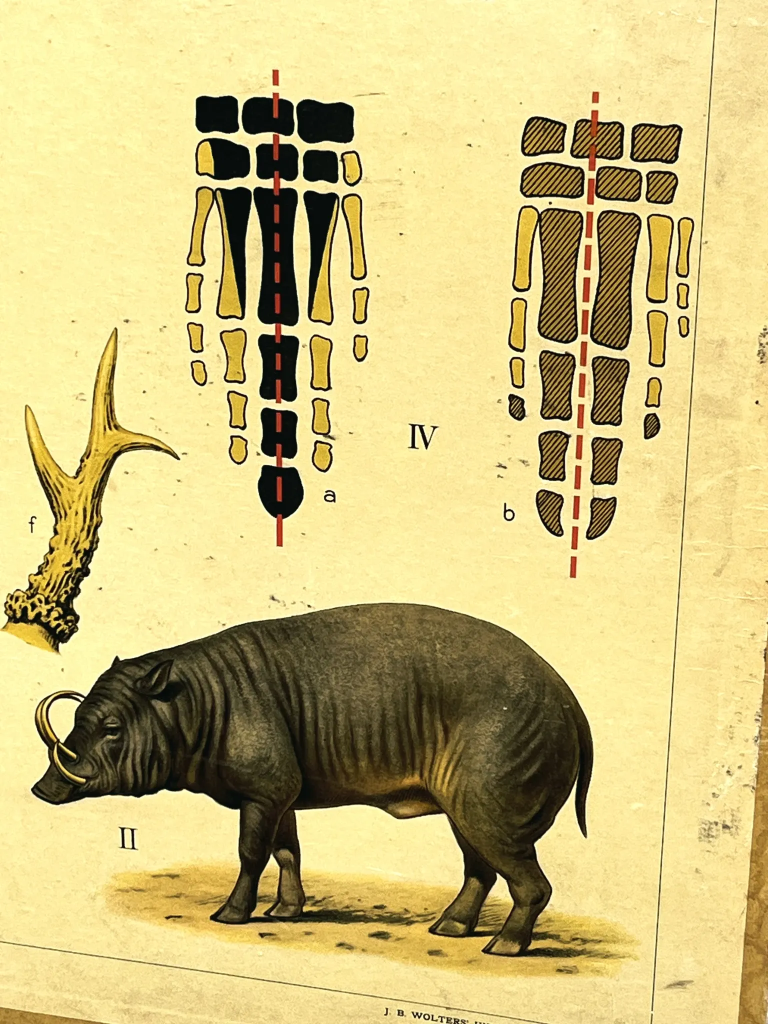 School poster J.B. Wolters
