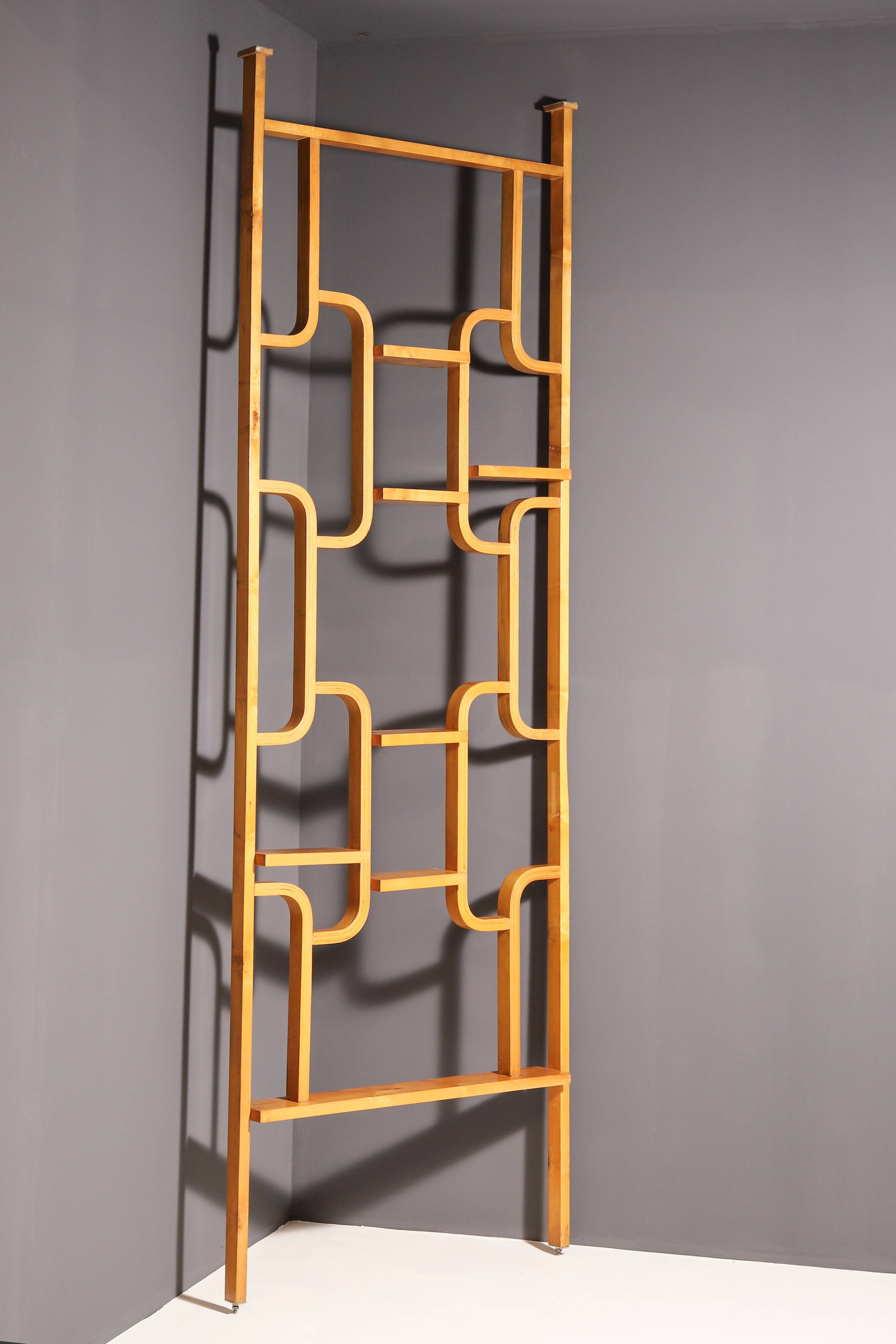 Mid-Century Divider by Ludvik Volak from Drevopodnik Holesov, 1970s
