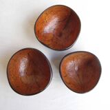 Coconut bowls