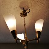Lustre 50